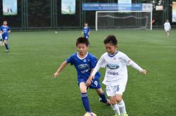 开云体育平台APP-冰岛足球国家队选拔新秀，培养未来之星