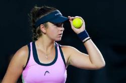 开云体育-包含拉沃尔杯鏖战戴维斯杯，蒂姆关键制胜的词条