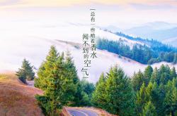 开云体育app-辽宁队对阵快船？恩比德打出统治级数据背后的跨时空想象