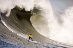 开云体育官方网站-锡安用实力证明自己，国王横扫广厦队，新王当立，联盟格局生变