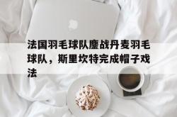 开云体育登录-法国羽毛球队鏖战丹麦羽毛球队，斯里坎特完成帽子戏法的简单介绍