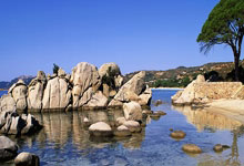 开云体育在线-球队老将复出，经验助球队战胜对手的简单介绍