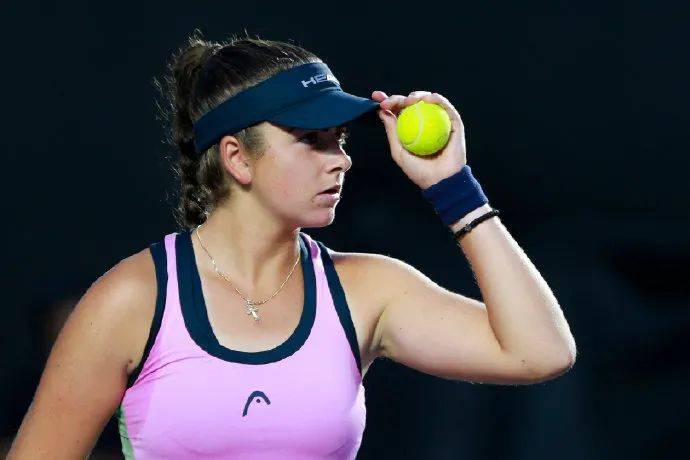 包含拉沃尔杯鏖战戴维斯杯，蒂姆关键制胜的词条