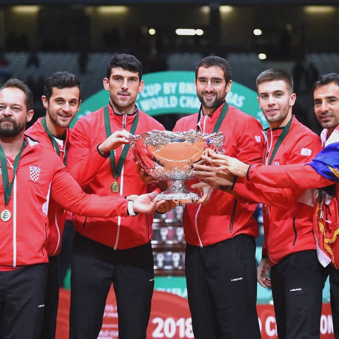 关于戴维斯杯力克法网,鲁德高光表现的信息 关于戴维斯杯力克法网,鲁德高光表现的信息