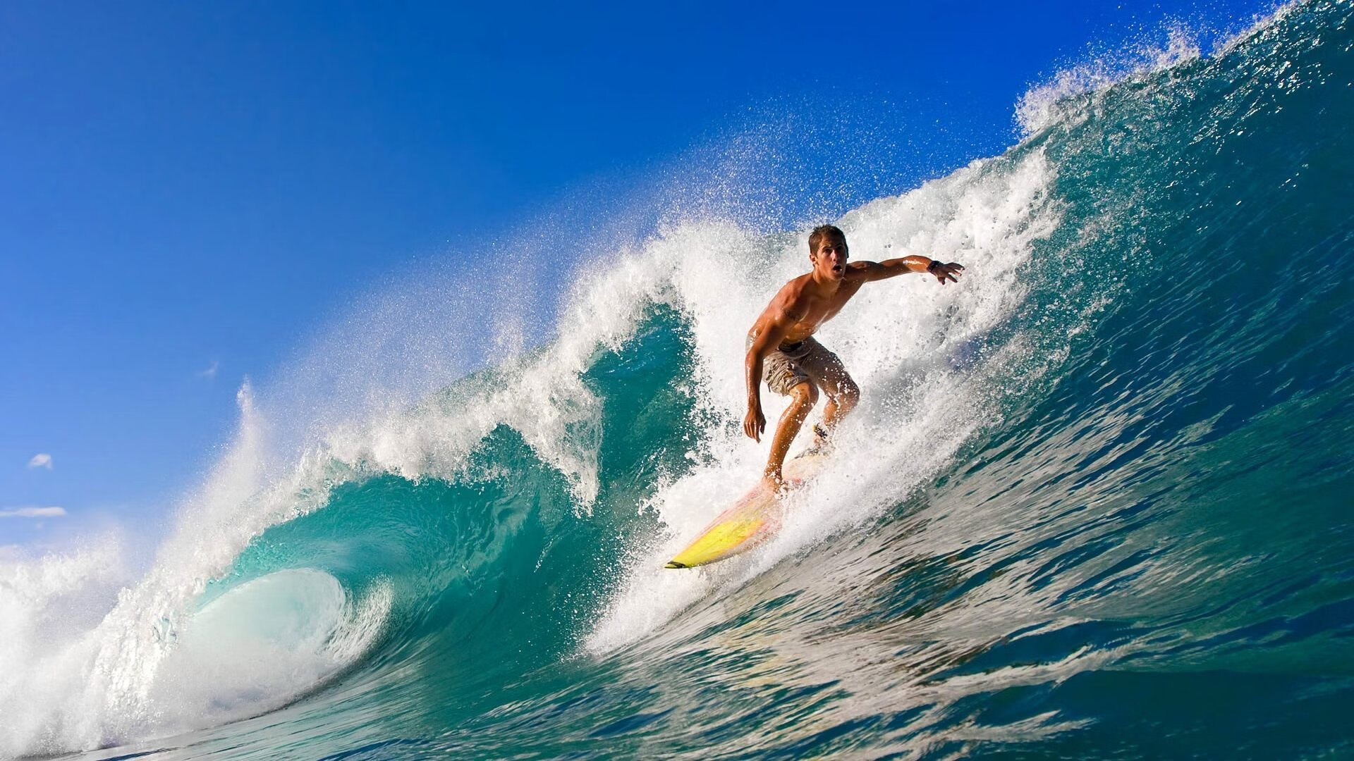 奇才防守铁壁锁死黄蜂，字母哥关键时刻定乾坤